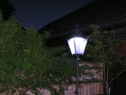 DW Windsor Victorian Lantern